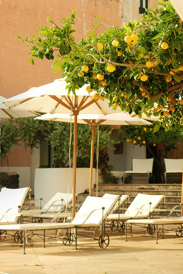 Zitronenbaum mit Sonnenschirm und Liegen