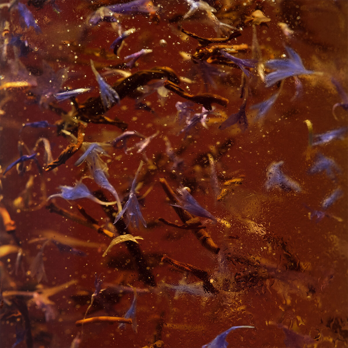 Avoury floating tea leaves in hot water