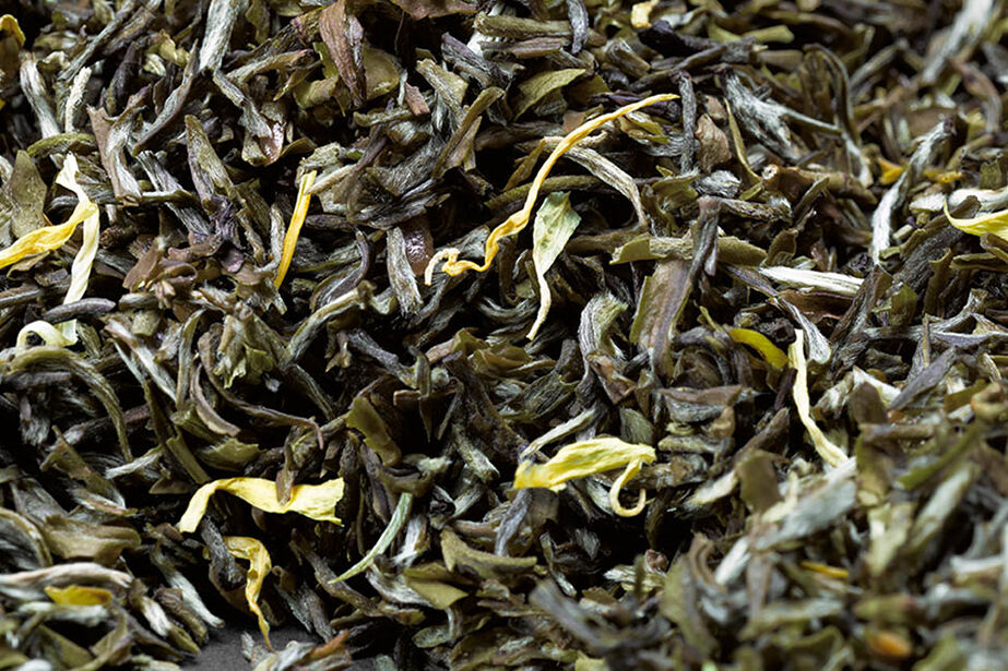 Loose green tea of Supreme Gyokuro