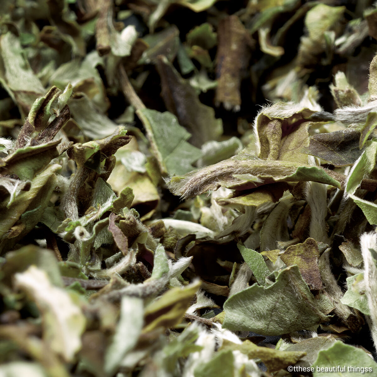 white tea herbs