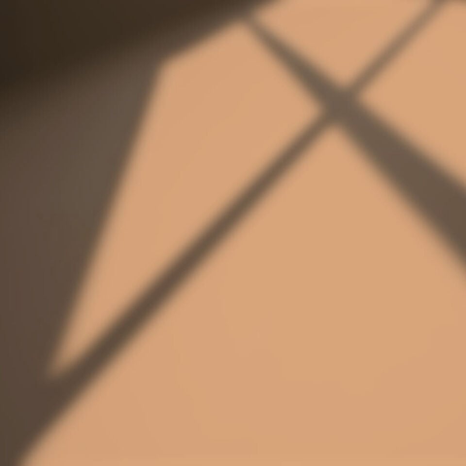 Boosting Ginger Schatten auf einer Wand