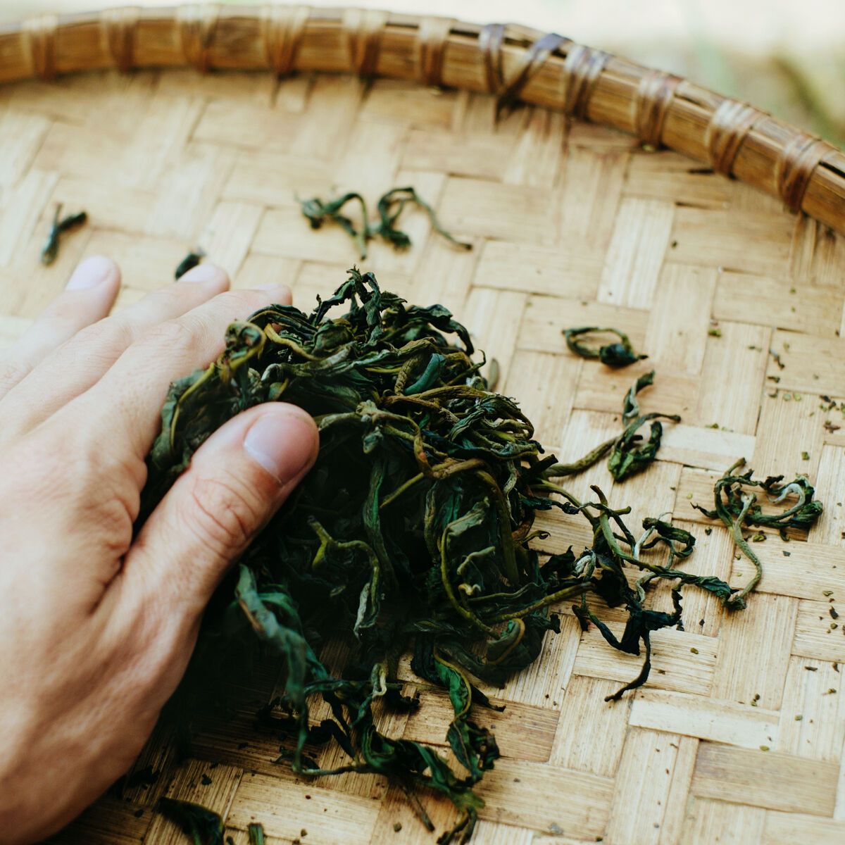 tea processing by hand
