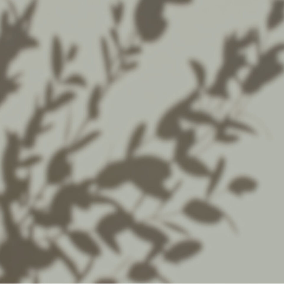 Detoxing Nettle Tee Schatten einer Pflanze 