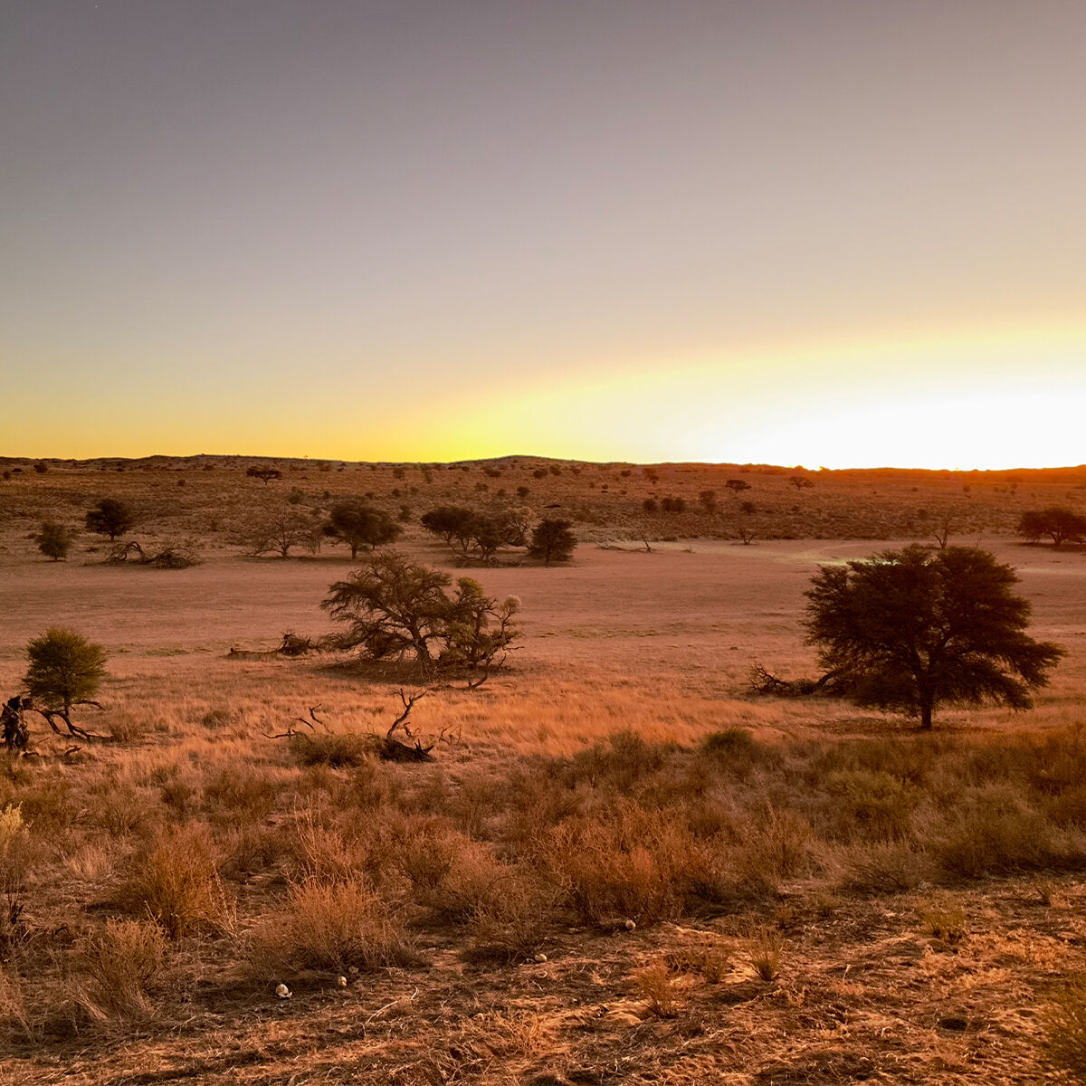 African landscape
