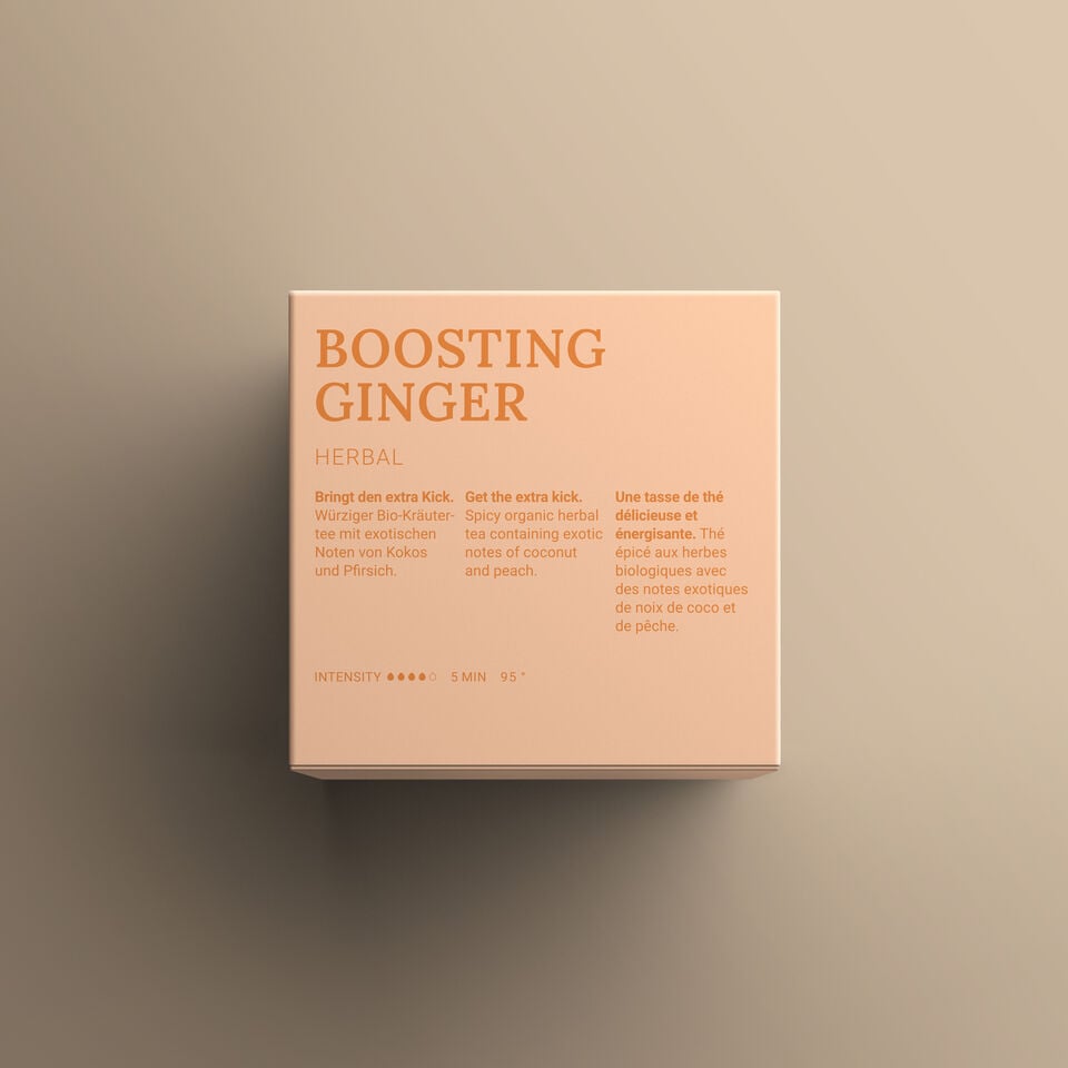 Avoury Boosting Ginger Tee Verpackung Rückseite